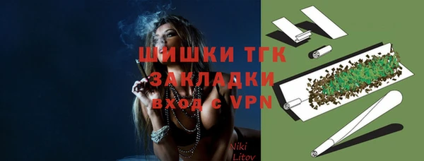 МДПВ Алексин