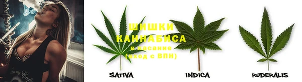 спиды Алзамай